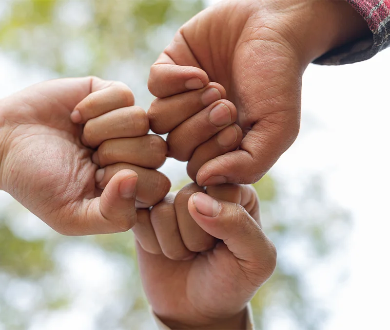 hands