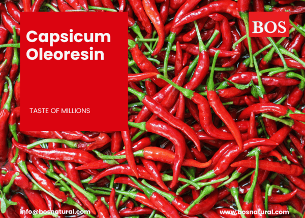 Capsicum oleoresin Manufacture