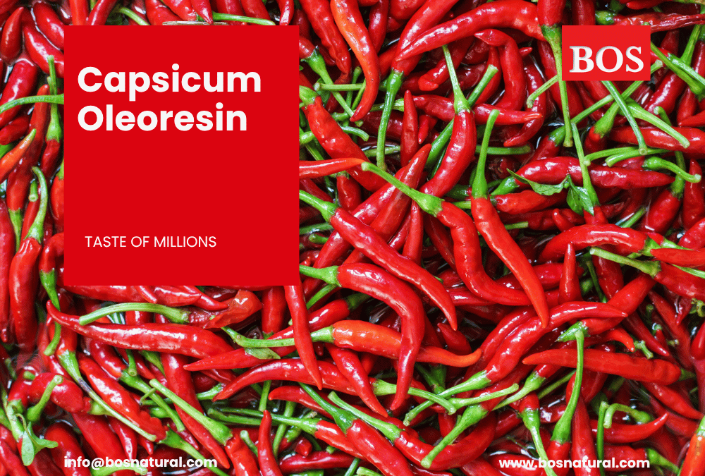 Capsicum oleoresin Manufacture