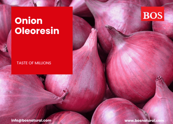 Onion Oleoresin Manufacture