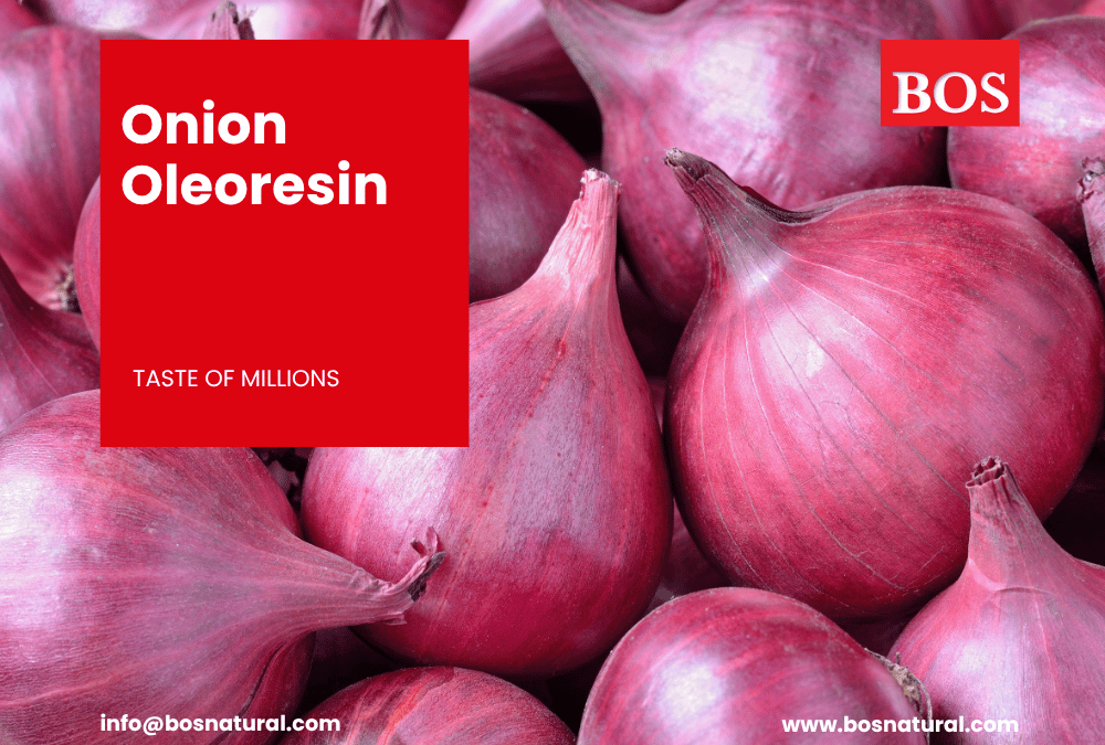 Onion Oleoresin Manufacture