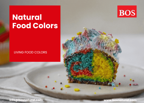 Natural Food Color Manufacture