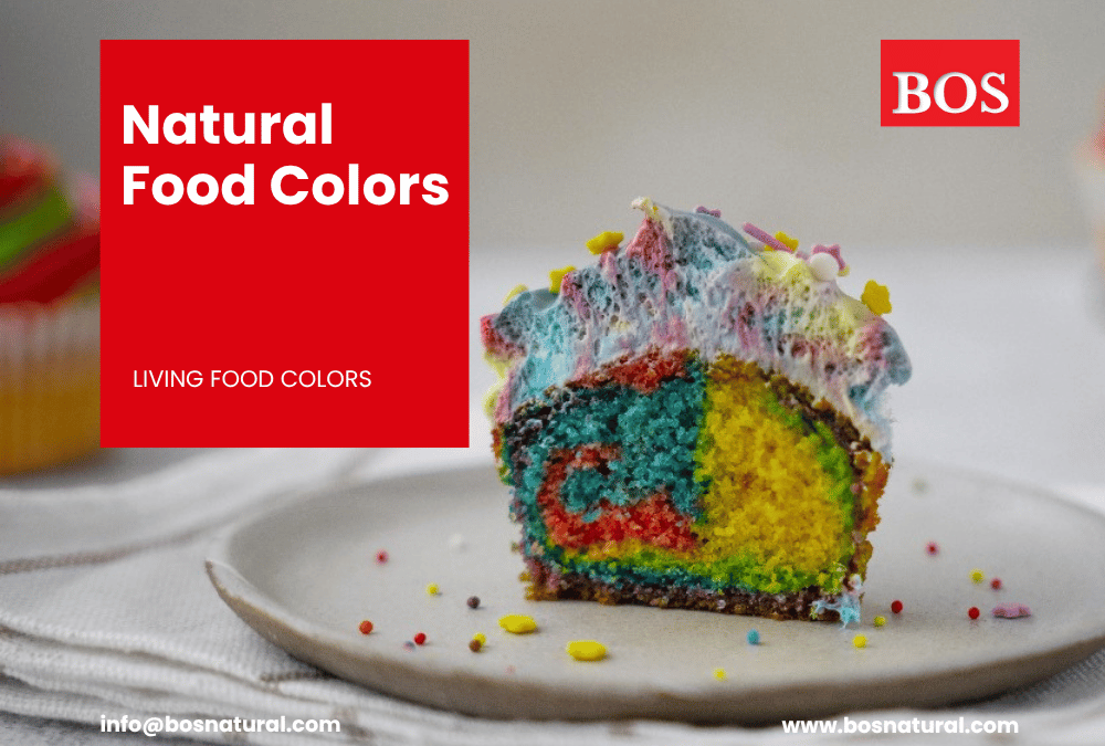 Natural Food Color Manufacture