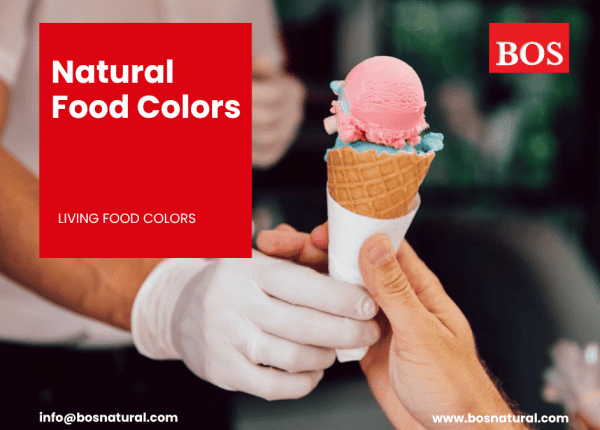 Natural Food Color Manufacture