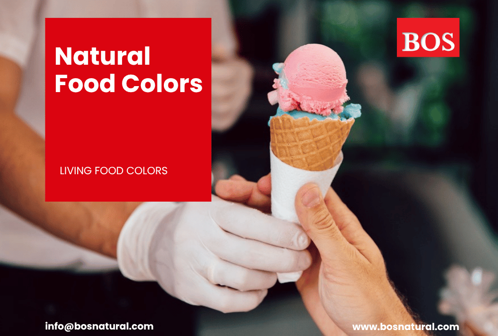 Natural Food Color Manufacture