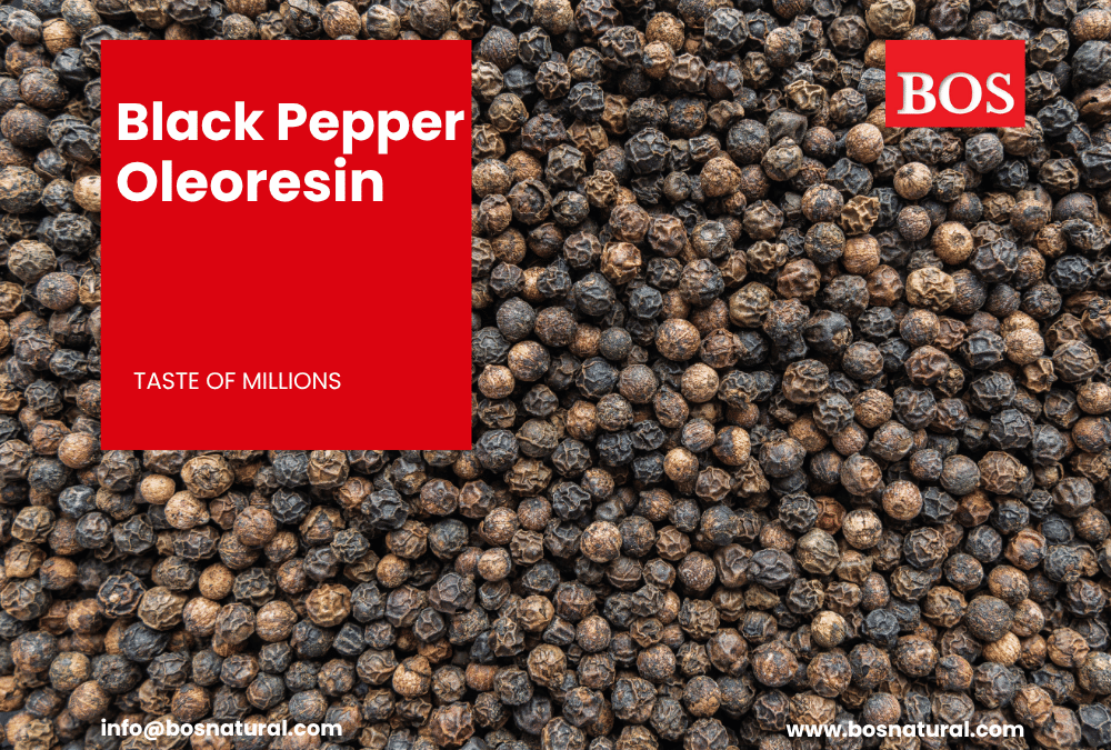 Thick, dark brown oleoresin extracted from dried black pepper berries, showcasing rich natural aroma and concentrated spice essence.