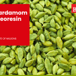 Cardamom Oil and Oleoresin