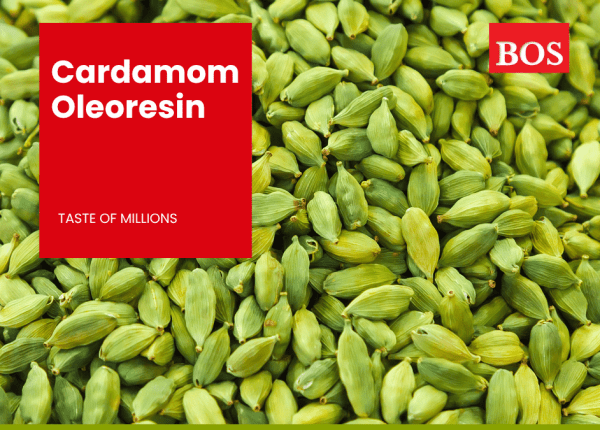 Golden-brown cardamom oleoresin in a small container showcasing its rich and aromatic texture.