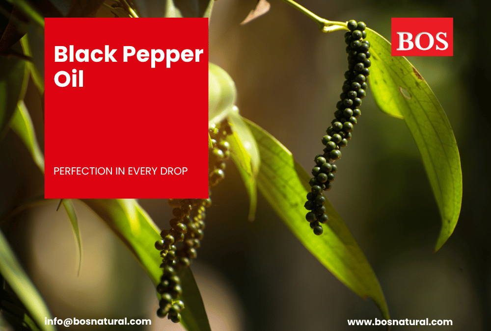 Clear black pepper oil extracted from dried peppercorns, with a strong and spicy natural aroma.