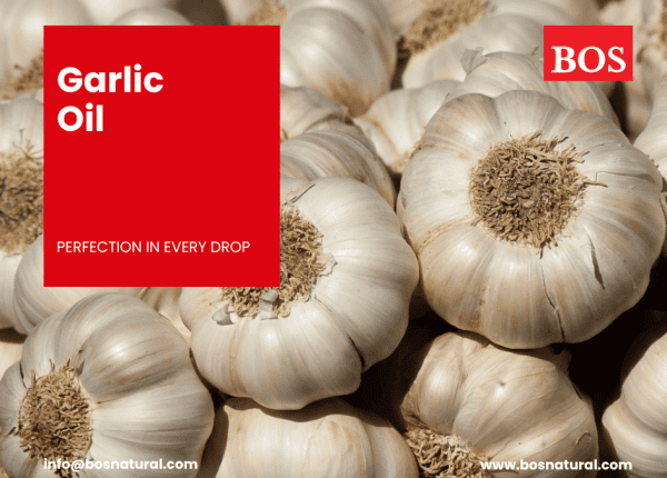 Garlic Oil and Oleoresin