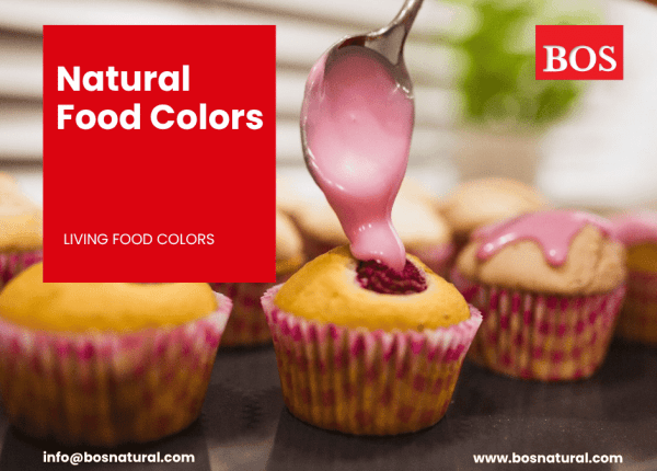 Natural Food Color Manufacture