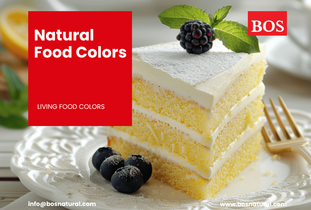 Natural Food Color Manufacture