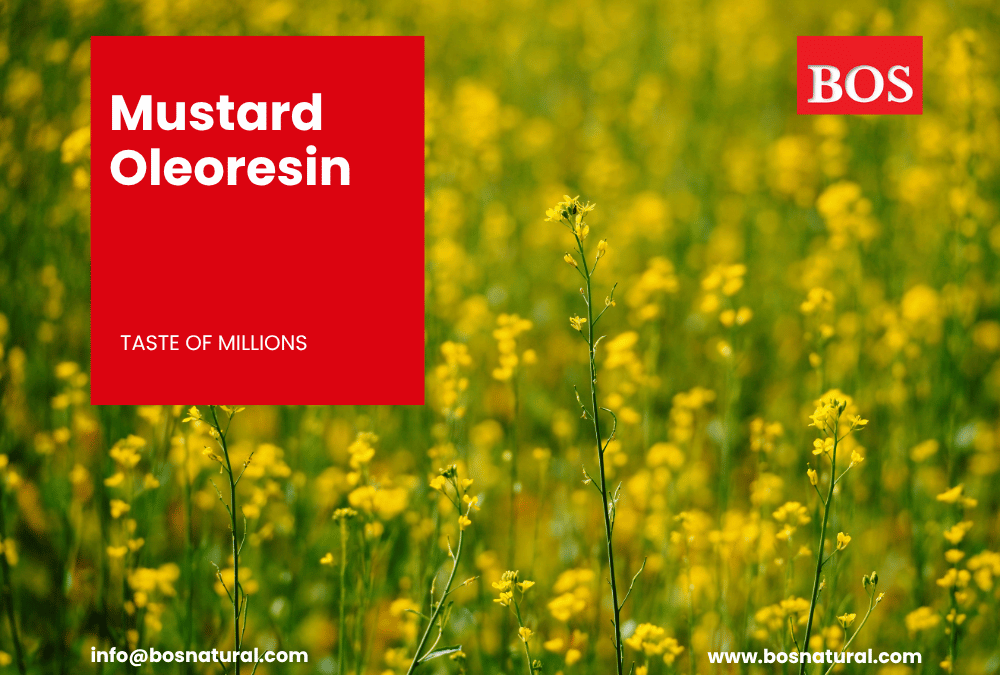 Deep yellow-brown mustard oleoresin extracted from mustard seeds, with a strong and pungent natural aroma.