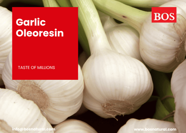 Garlic Oleoresin Manufacture
