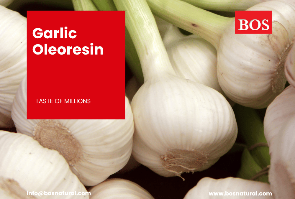 Garlic Oleoresin Manufacture