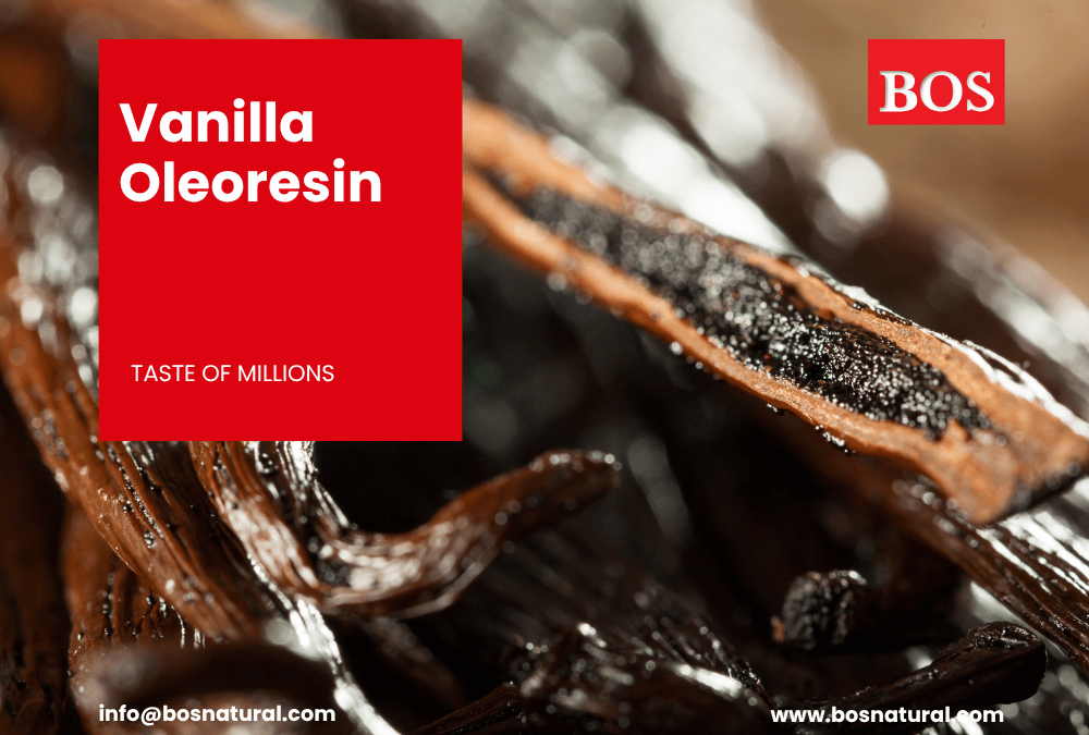 Vanilla Oil and Oleoresin