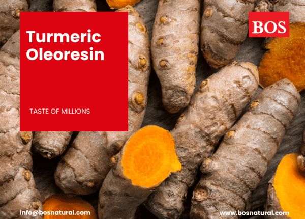 Turmeric Oil and Oleoresin