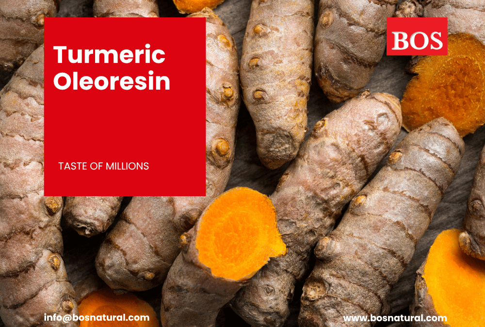 Turmeric Oil and Oleoresin