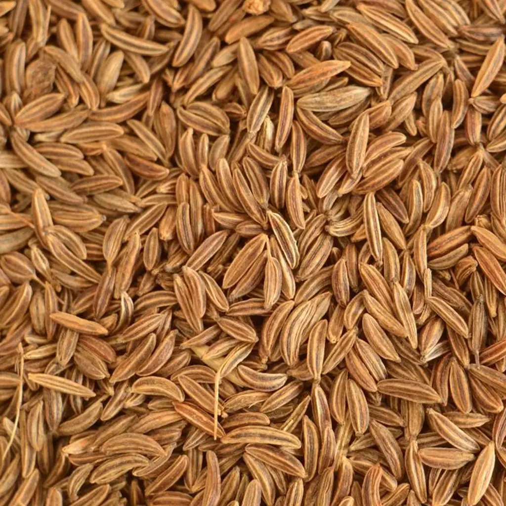 Caraway Oil and Oleoresin