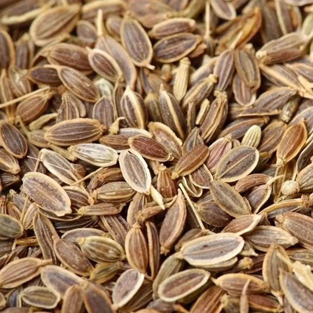 Clear to pale yellow essential oil extracted from dill seeds with fresh, herbal, and slightly spicy aroma.