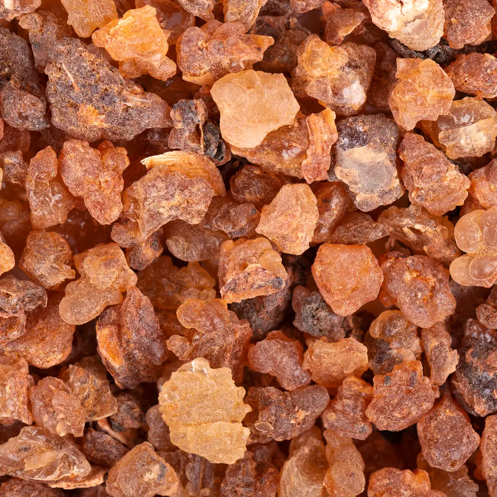light yellow frankincense essential oil derived from Boswellia resin with a rich, woody aroma.