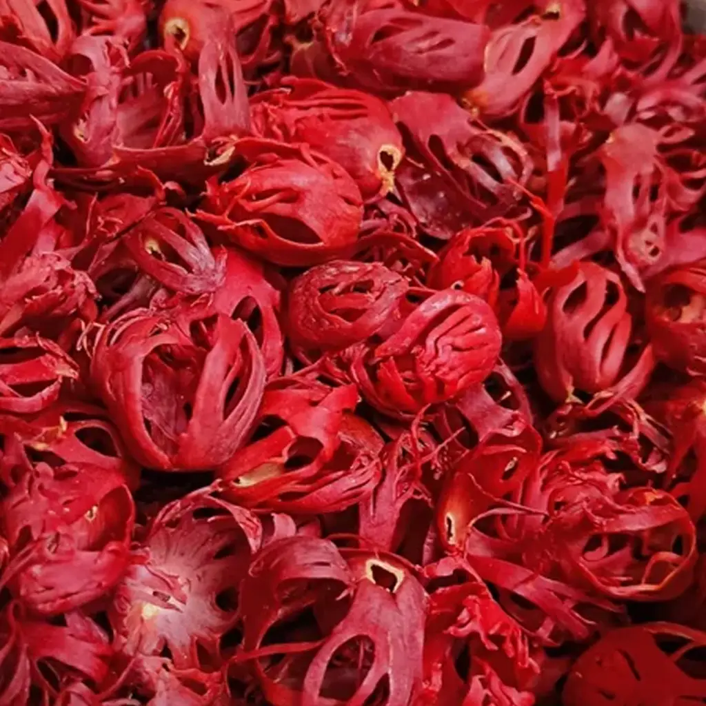 Bright red whole and finely ground mace derived from the dried aril of nutmeg, showcasing rich color and natural aromatic character.