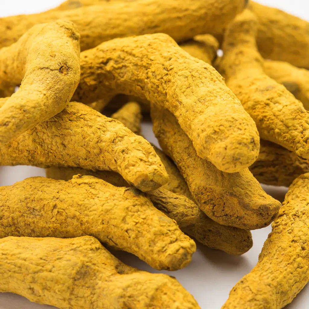 Bright golden turmeric roots and ground powder neatly displayed, reflecting purity, rich aroma, and vibrant natural color.
